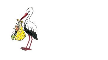 Logo Kindergarten Storchennest