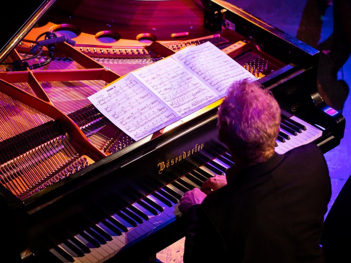 Klavierlehrer Michael Flügel sitzt am Flügel, die Kamera schaut von oben auf den Rücken des Mannes und die Saiten des Flügels